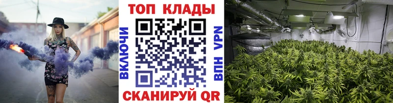 Где купить наркотики Балашов Лсд 25  СОЛЬ  Мефедрон  ГАШИШ  Канабис  Cocaine 