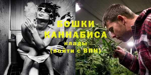 ешки Осинники