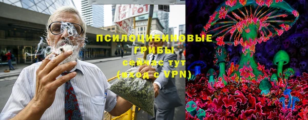 PSILOCYBIN Осташков