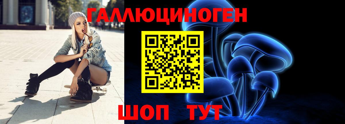 Балашов  Галлюциногенные грибы Psilocybe  Вход с VPN 